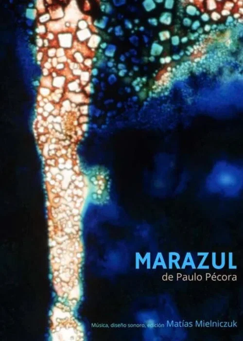 Marazul постер