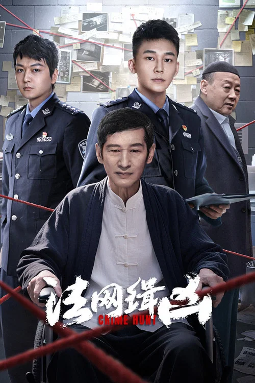 法网缉凶 постер