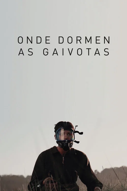 Onde dormen as gaivotas постер