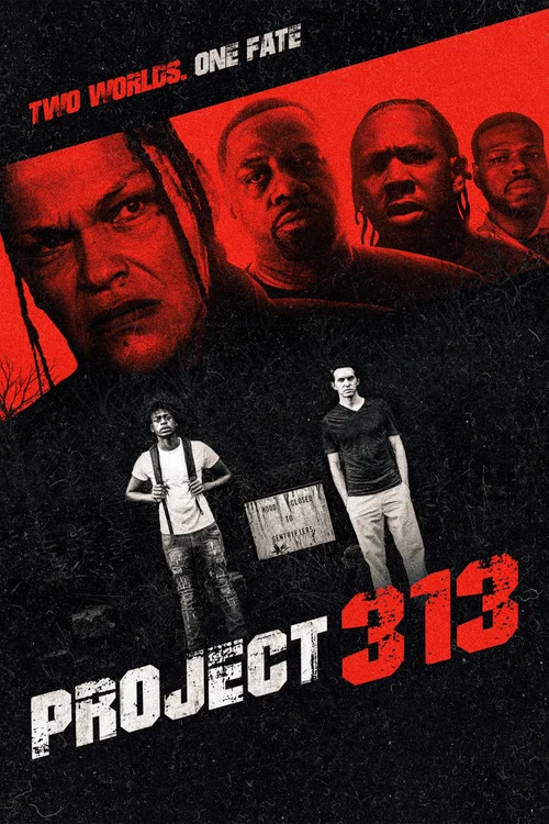 Project 313 постер