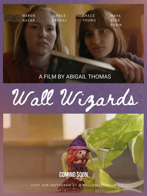 Wall Wizards постер