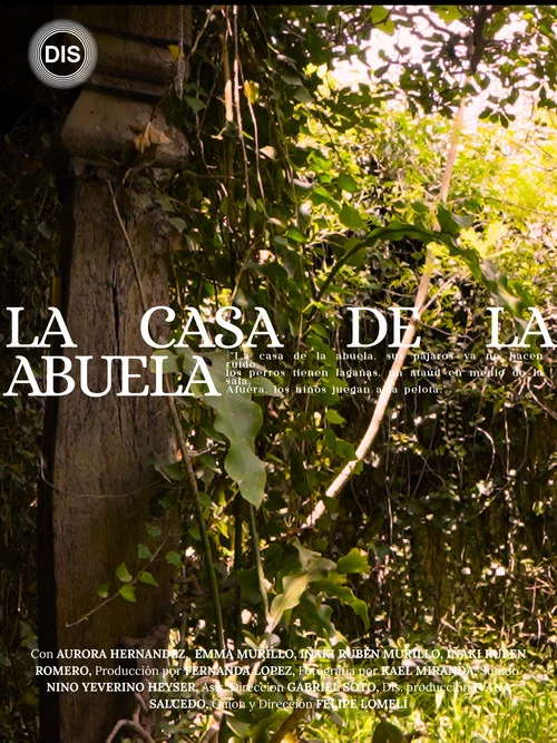 La casa de la abuela. постер