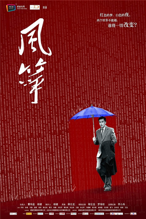 风筝·送审版 постер