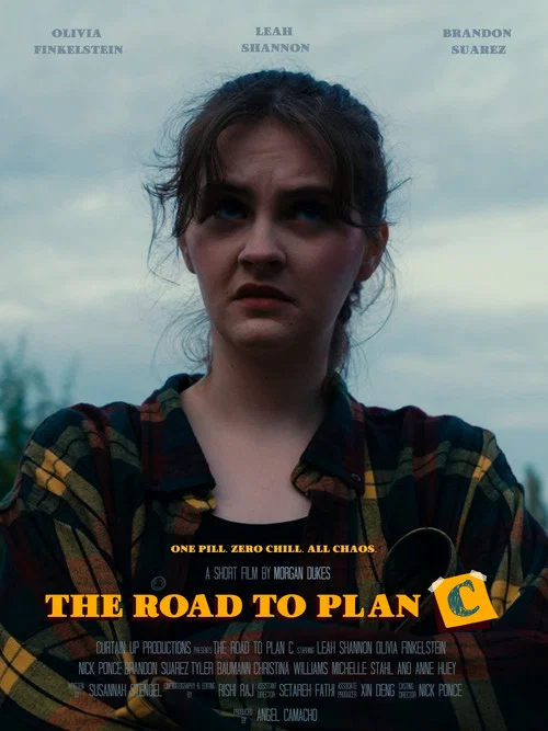 The Road to Plan C постер