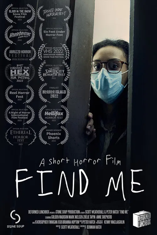 Find Me постер