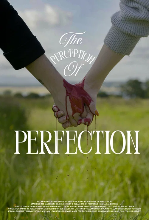 The Perception of Perfection постер