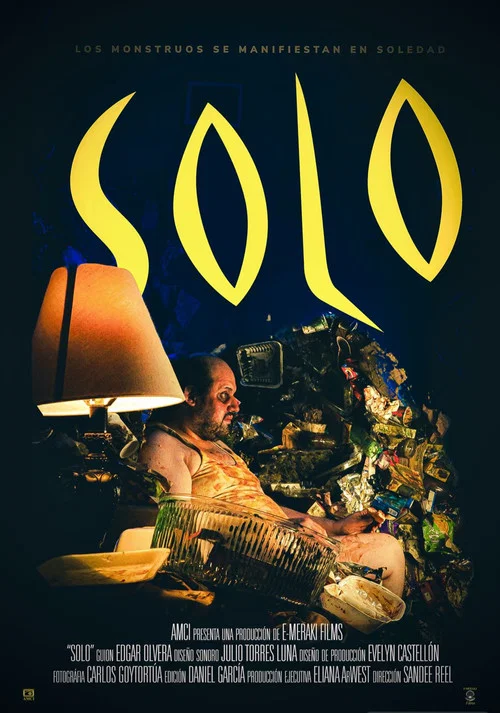 Solo постер