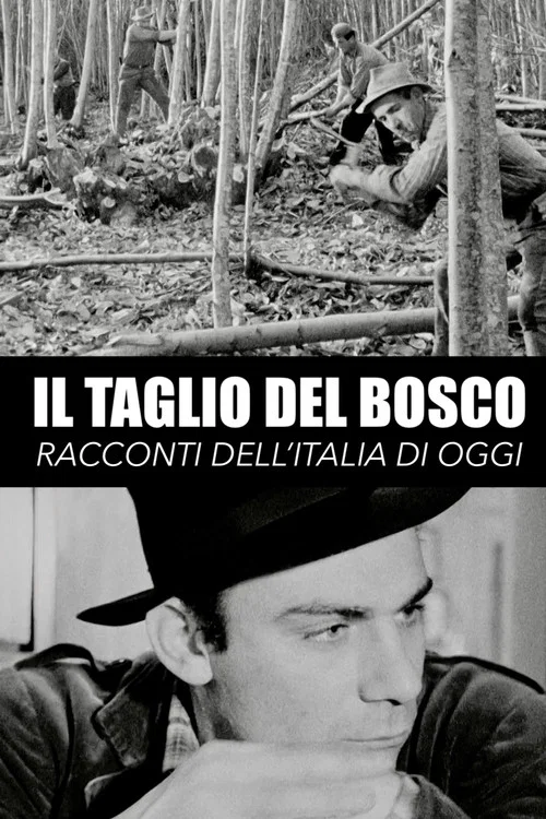 Il taglio del bosco постер