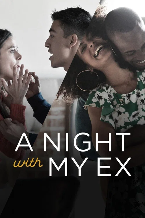 A Night with My Ex постер