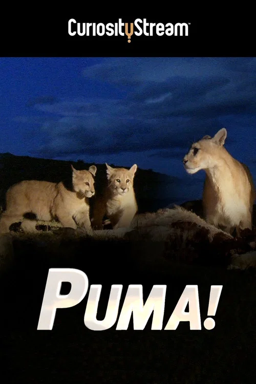 Puma! постер