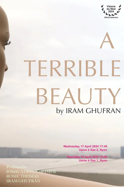 A Terrible Beauty постер