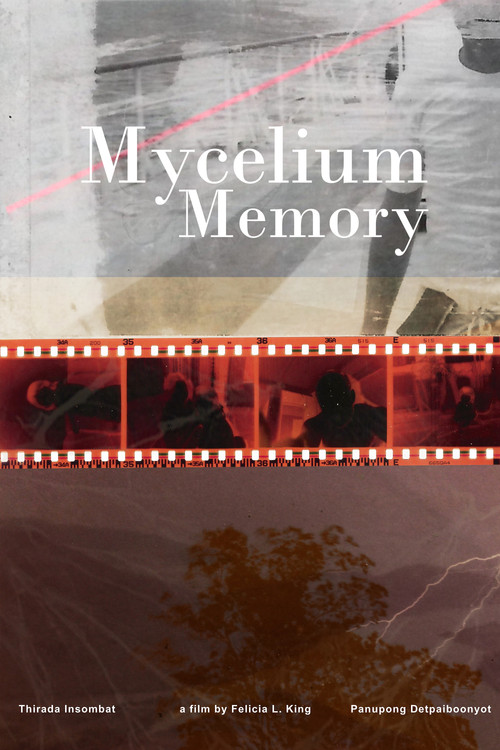 Mycelium Memory постер