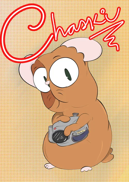Chaski постер