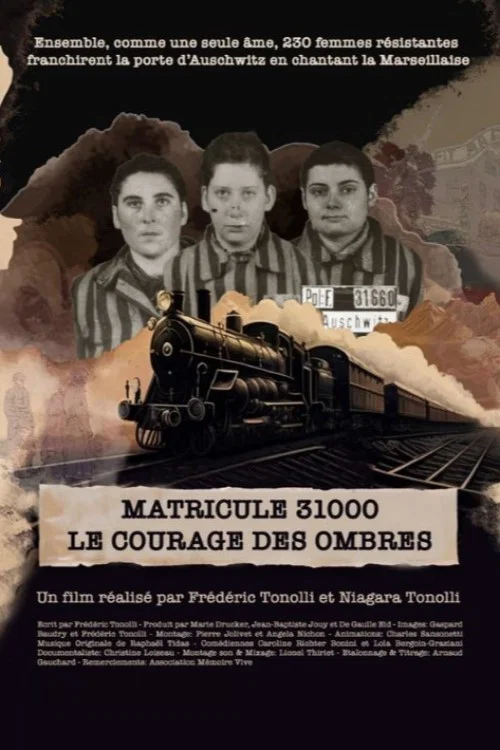 Matricule 31000, le courage des ombres постер