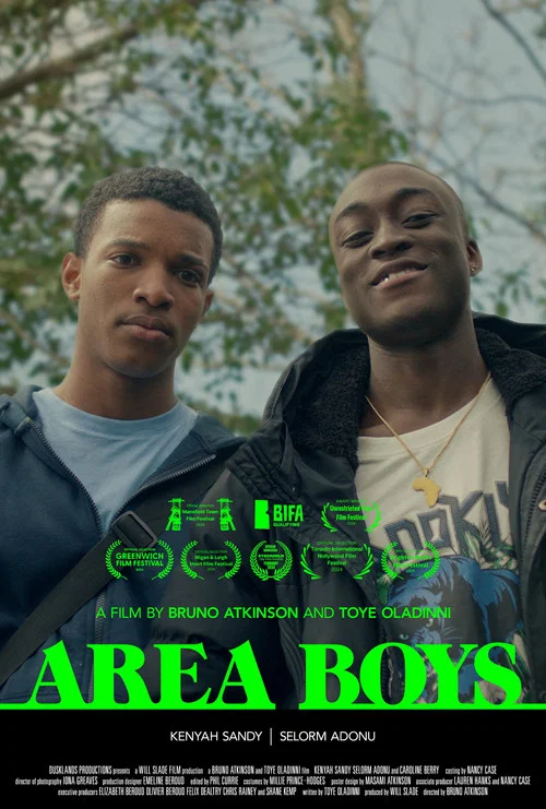 Area Boys постер