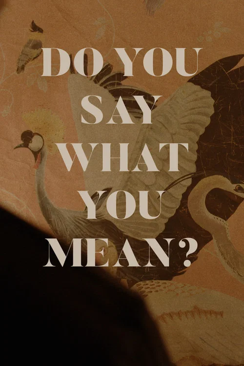 Do You Say What You Mean? постер