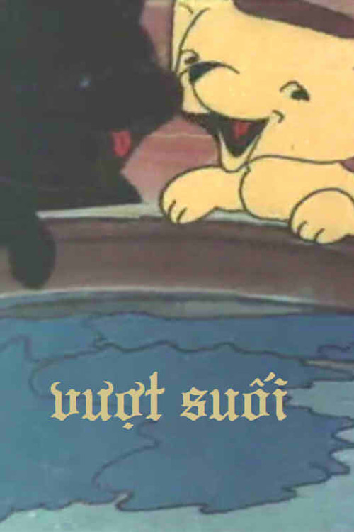 Vượt Suối постер