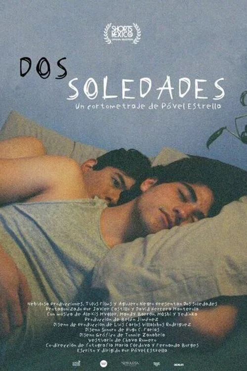 Dos soledades постер