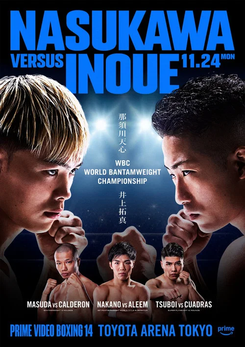 PRIME VIDEO BOXING 14 постер