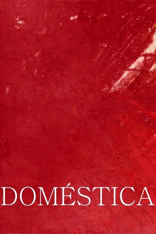 Doméstica постер