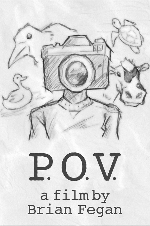 P.O.V. постер