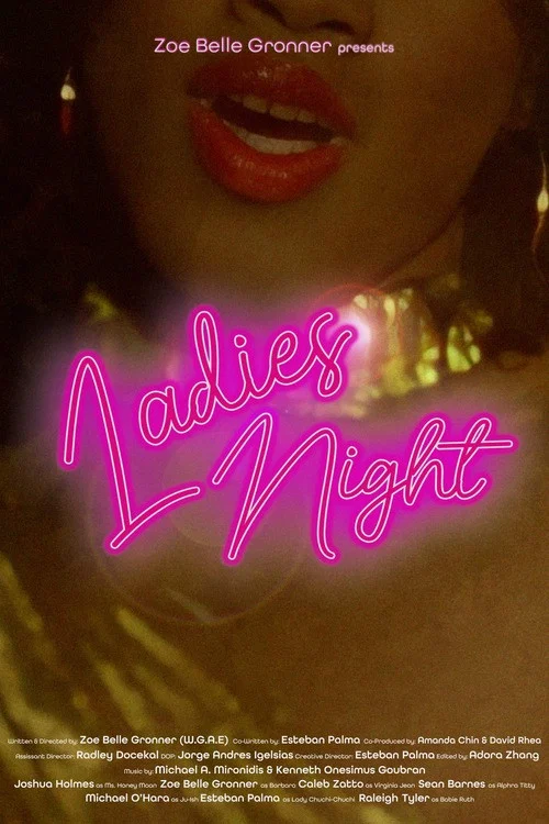 Ladies Night постер