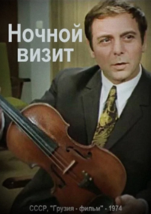 Ночной визит постер