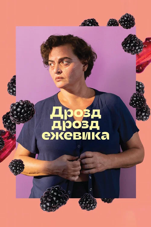 Дрозд дрозд ежевика постер