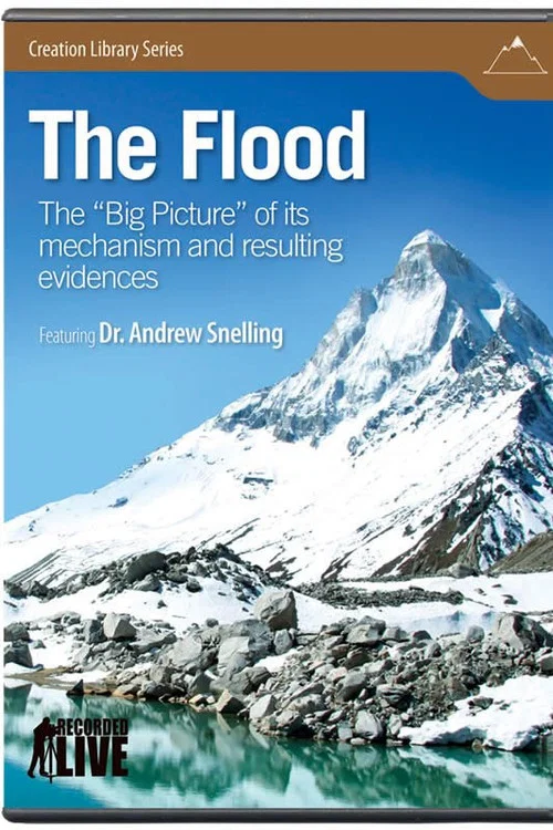 The Flood постер