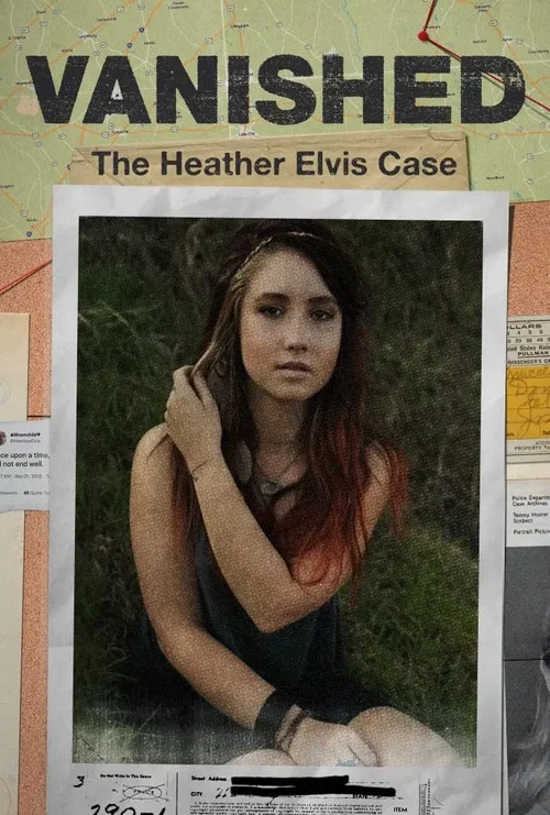 Vanished: The Heather Elvis Case постер