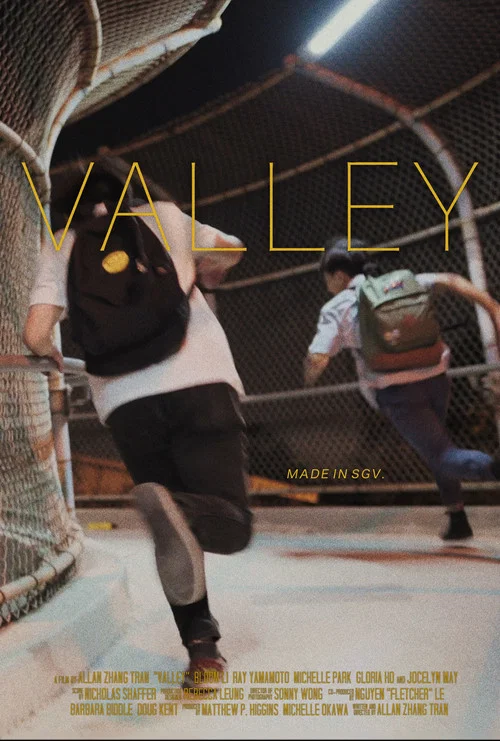 Valley постер