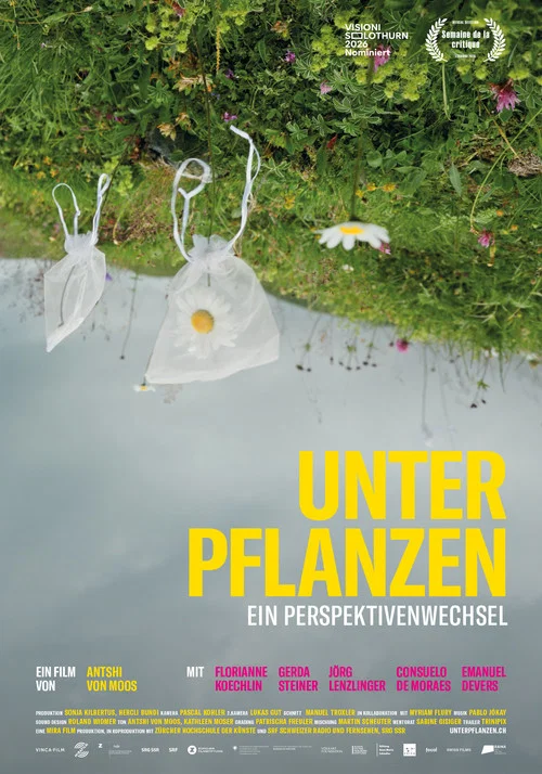 Unter Pflanzen – Ein Perspektivenwechsel постер