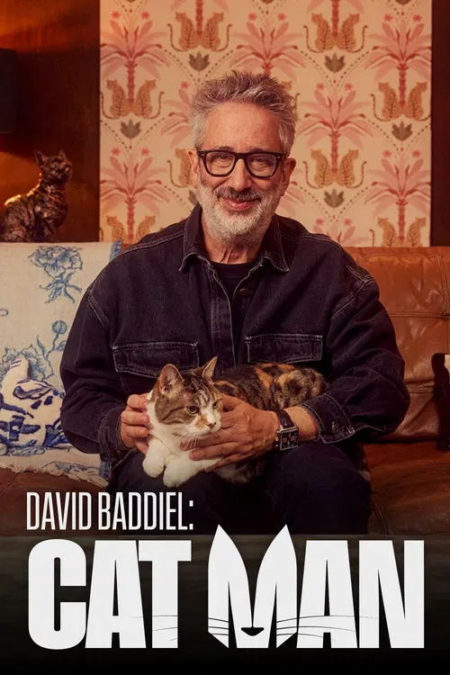 David Baddiel: Cat Man постер