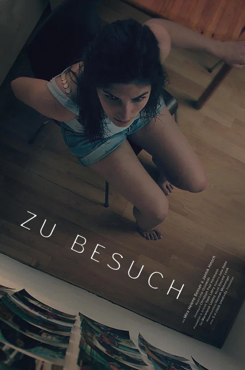 Zu Besuch постер