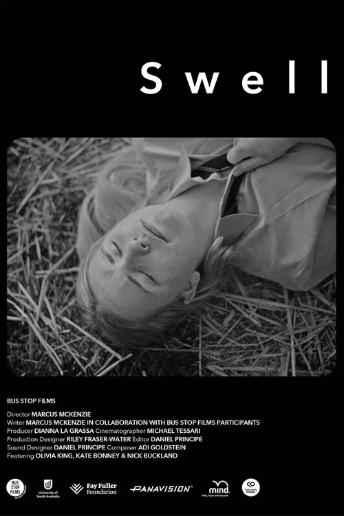 Swell постер