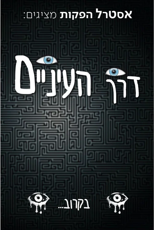 דרך העיניים | Through the eyes постер