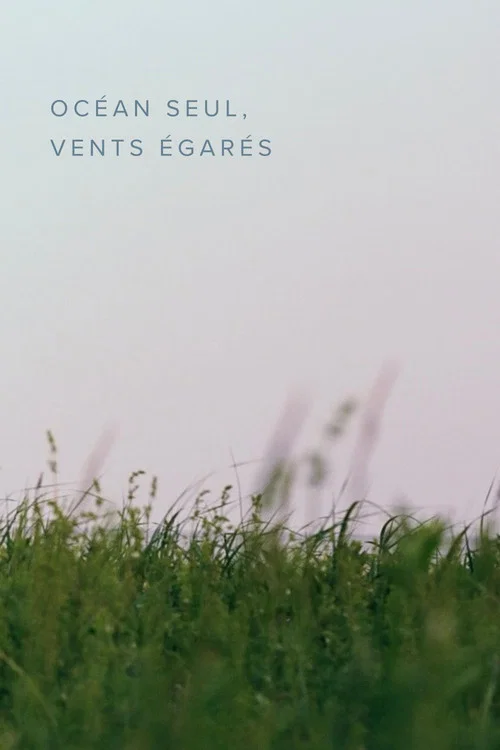 Océan seul, vents égarés постер