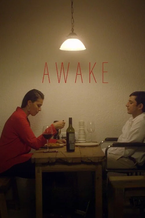 Awake постер
