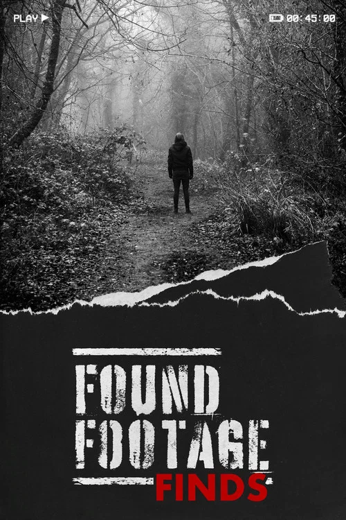 Found Footage Finds постер