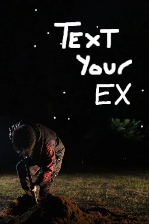 text your ex постер