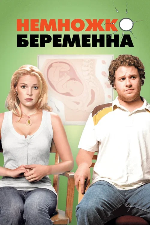 Немножко беременна постер