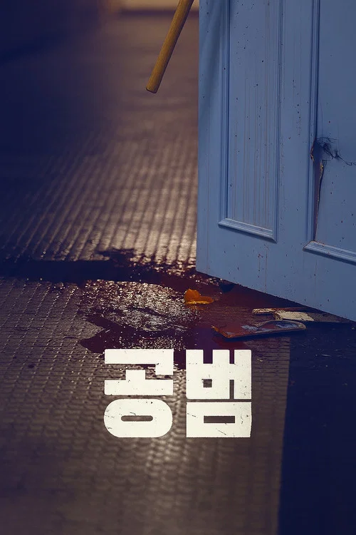 공범 постер