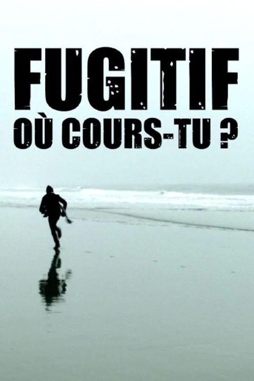 Fugitif, où cours-tu ? постер