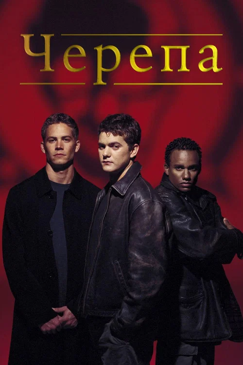 Черепа постер