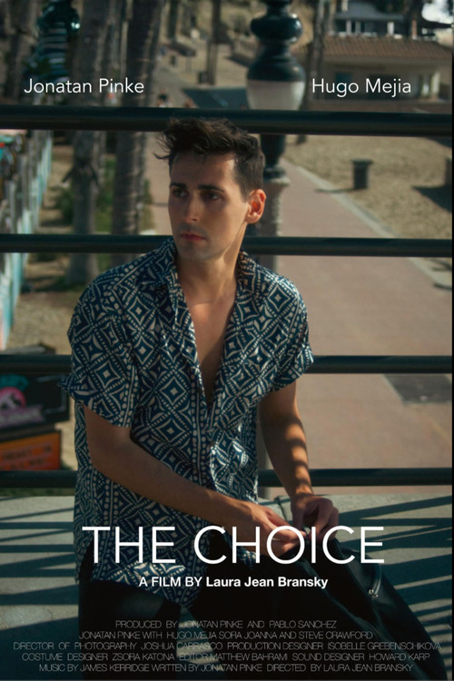 The Choice постер