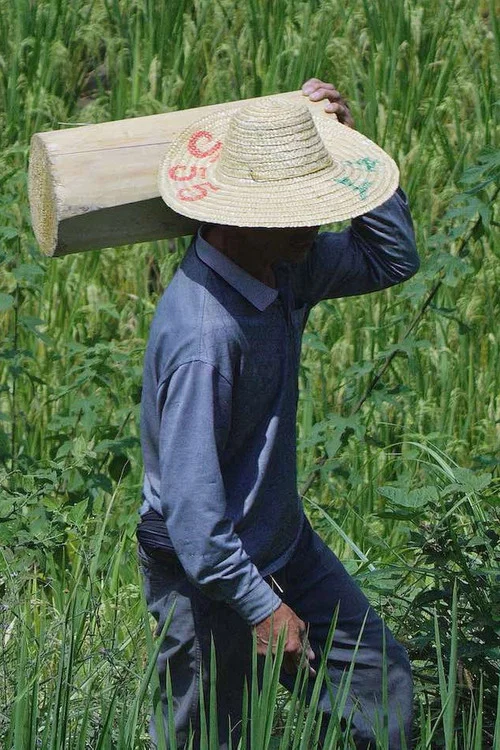 大数据中心 постер