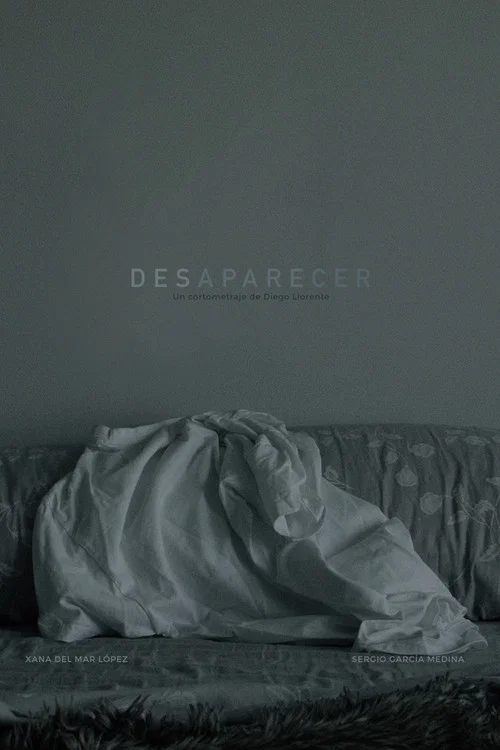 Desaparecer постер