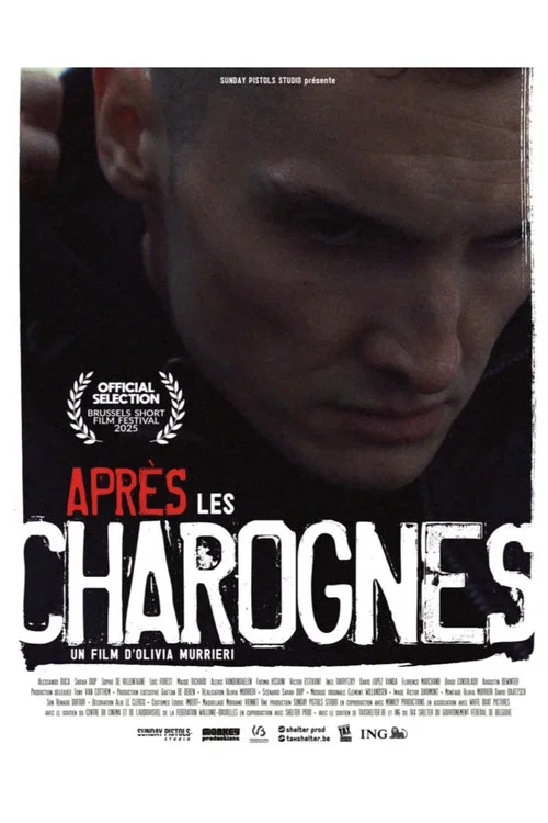 Après les charognes постер