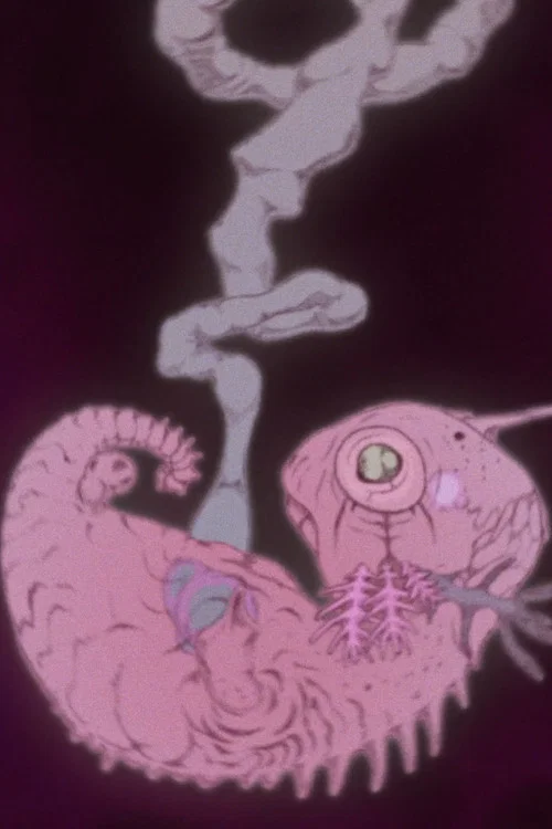 Chimera постер