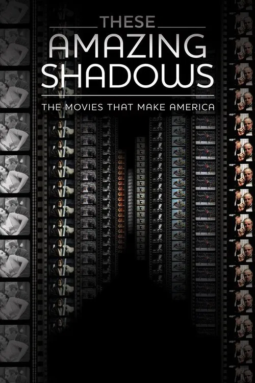 These Amazing Shadows постер